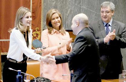 La Princesa Letizia entrega el galardón a Luis Cayo Pérez Bueno, presidente del CERMI