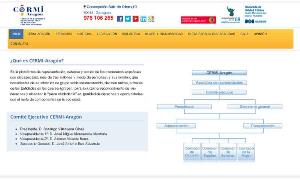 Imagen de la nueva web del CERMI-Aragón