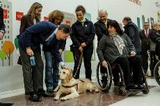 La Comunidad de Madrid permite entrar a todos los espacios públicos a los perros de asistencia