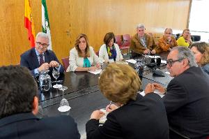 El presidente del CERMI-Andalucía y representantes de las entidades miembro se reúnen con Susana Díaz