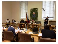 El CERMI expone su modelo de política territorial de discapacidad ante el Parlamento gallego