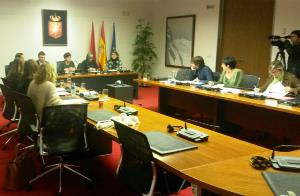 CERMIN protagoniza la apertura de la Comisión de Discapacidad del Parlamento de Navarra