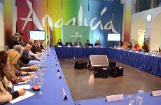El presidente de CERMI Andalucía asiste en Málaga al Pleno del Consejo Andaluz de Turismo