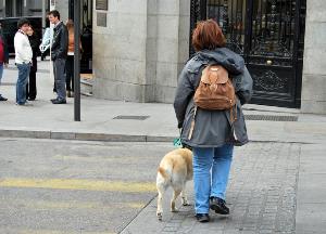 Una mujer con un perro guía pasea por las calles de una ciudad