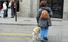 Una mujer con un perro guía pasea por las calles de una ciudad