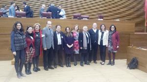 CERMI Comunidad Valenciana aplaude la creación de una comisión sobre discapacidad en les Corts