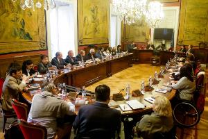 El CERMI celebra el Comité ejecutivo en el Senado
