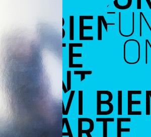 Imagen del catálogo de la VI Bienal de Arte Contemporáneo de Fundación ONCE