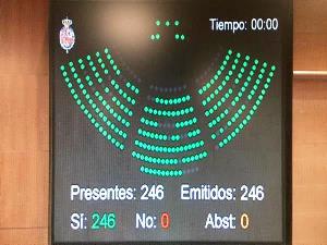 Imagen de la pantalla del Senado con las votaciones a favor de una Comisión de Discapacidad permanente y legislativa