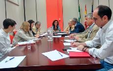 CERMI Andalucía se reúne con la viceconsejera de Salud de la Junta para tratar diversos asuntos relacionados con la atención temprana