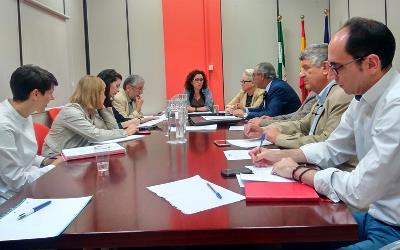 CERMI Andalucía se reúne con la viceconsejera de Salud de la Junta para tratar diversos asuntos relacionados con la atención temprana