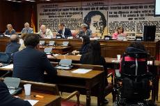 Luis Cayo Pérez Bueno en su comparecencia en la Comisión legislativa de Discapacidad del Senado