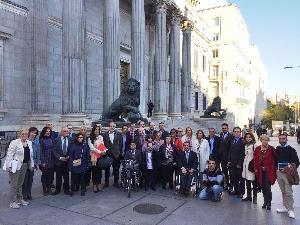 Representantes del CERMI y de entidades de la discapacidad posando ante el Congreso de los Diputados