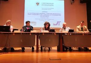 El presidente del CERMI, Luis Cayo Pérez Bueno, en la clausura de una jornada sobre accesibilidad universal en entornos de educación superior organizada por la Universidad de Granada