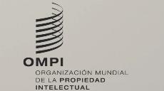 Organización Mundial de la Propiedad Intelectual