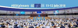 El Comité Económico y Social Europeo anuncia el pleno en el que se aprueba el dictamen sobre “La situación de las mujeres con discapacidad”