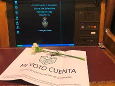 Imagen del escaño de una diputada con una flor y una papeleta de voto repartida por personas con discapacidad intelectual a las puertas del Congreso