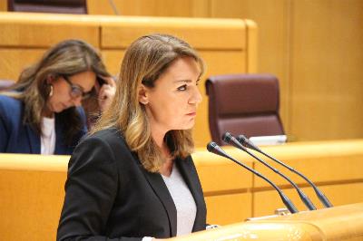Susana Camarero, en una intervención en el Senado.