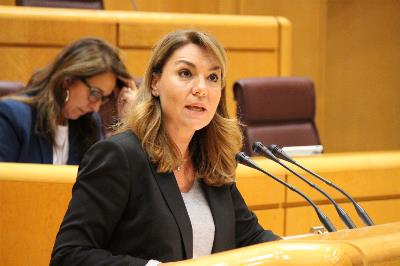Susana Camarero, durante una intervención en el Senado.