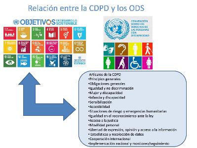 Gráfico sobre la relación entre los ODS y la CDPD.