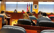 La coordinadora de la Comisión de Mujer de CERMI Comunidad de Madrid y vicepresidenta de la misma entidad, Mayte Gallego, en la Comisión de Mujer del Parlamento regional