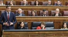 El presidente del Gobierno, Pedro Sánchez, en la sesión de control al Ejecutivo en el Congreso de los Diputados esta semana (Imagen de la web del PSOE)