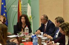 Reunión CERMI Andalucía-Consejería.