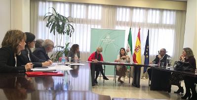 Encuentro de trabajo de CERMI Andalucía en la Consejería de Salud y Familias