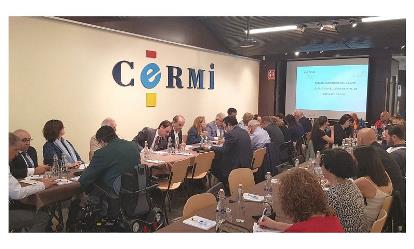 Imagen del CERMI durante la reunión de su Comité Ejecutivo