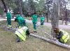Personas con trastorno mental realizando labores en zonas verdes
