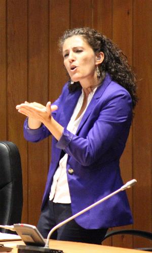 Mari Luz Esteban, directora del CNLSE.
