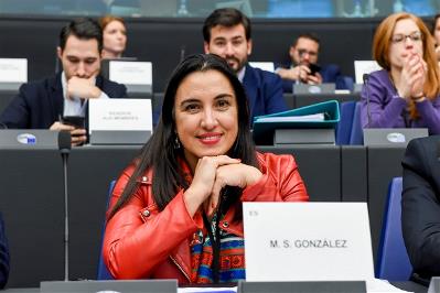 La eurodiputada Mónica Silvana González se incorpora al Comité de Apoyo del CERMI para la Convención ONU de Discapacidad (imagen del PSOE)
