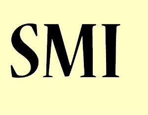 Salario Mínimo Interprofesional (SMI)