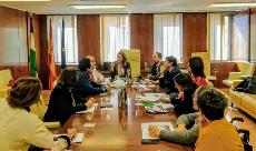 Imagen de la reunión del CERMI Andalucía con Ana García, directora general de Calidad, Innovación y Fomento de la Junta de Andalucía