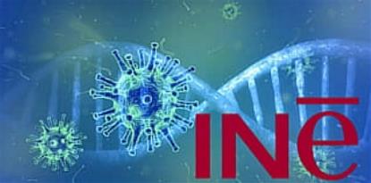 Imagen de la web del INE, con sus siglas y un fondo con imágenes de virus