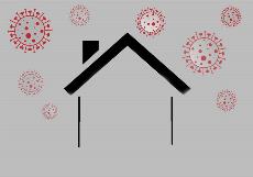 Ilustración de una casa y virus en el exterior