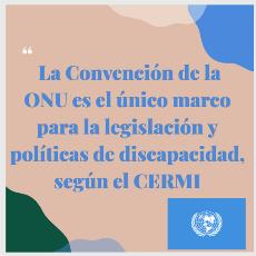 La Convención de la ONU es el único marco para la legislación y políticas de discapacidad, según el CERMI