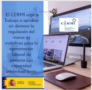 El CERMI urge a Trabajo a aprobar sin demora la regulación del marco de incentivos para la contratación laboral de persona con capacidad intelectual límite
