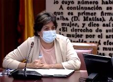 Maribel Cáceres en su comparecencia como portavoz institucional del movimiento asociativo Plena inclusión