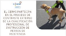 El CERMI participa en el proceso de contraste externo de la cualificación profesional de instrucción de perros de asistencia