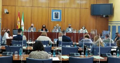 CERMI Andalucía pide al Parlamento "una apuesta más firme" con la discapacidad en la nueva Ley de Infancia y Adolescencia