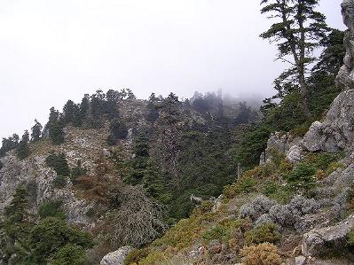 Detalle de la Sierra de las Nieves, en Málaga (Foto: José Sánchez)