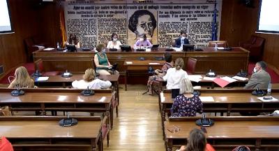 Vista general de la comparecencia de Ana Peláez, vicepresidenta ejecutiva de Fundación CERMI Mujeres, ante la comisión de seguimiento del Pacto de Estado contra la Violencia de Género