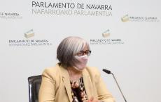 Mari Luz Sanz, presidenta de CERMIN, en el Parlamento de Navarra