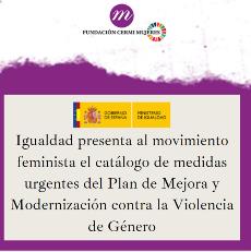 Igualdad presenta al movimiento feminista el catálogo de medidas urgentes del Plan de Mejora y Modernización contra la Violencia de Género