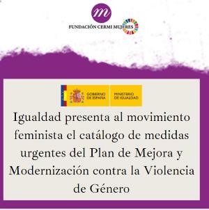 Igualdad presenta al movimiento feminista el catálogo de medidas urgentes del Plan de Mejora y Modernización contra la Violencia de Género