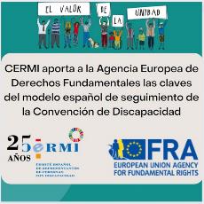 CERMI aporta a la Agencia Europea de Derechos Fundamentales las claves del modelo español de seguimiento de la Convención de Discapacidad