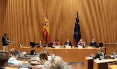 El CERMI entrega el premio Cermi.es 2020 a la Mejor Práctica de cooperación asociativa a Autismo España y Fespau durante el acto institucional del Dia Mundial del Autismo en el Congreso de los Diputad