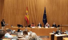 El CERMI entrega el premio Cermi.es 2020 a la Mejor Práctica de cooperación asociativa a Autismo España y Fespau durante el acto institucional del Dia Mundial del Autismo en el Congreso de los Diputad