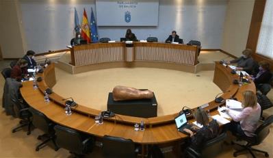 CERMI Galicia pone de relieve las principales reivindicaciones de las personas con discapacidad ante el Parlamento de Galicia